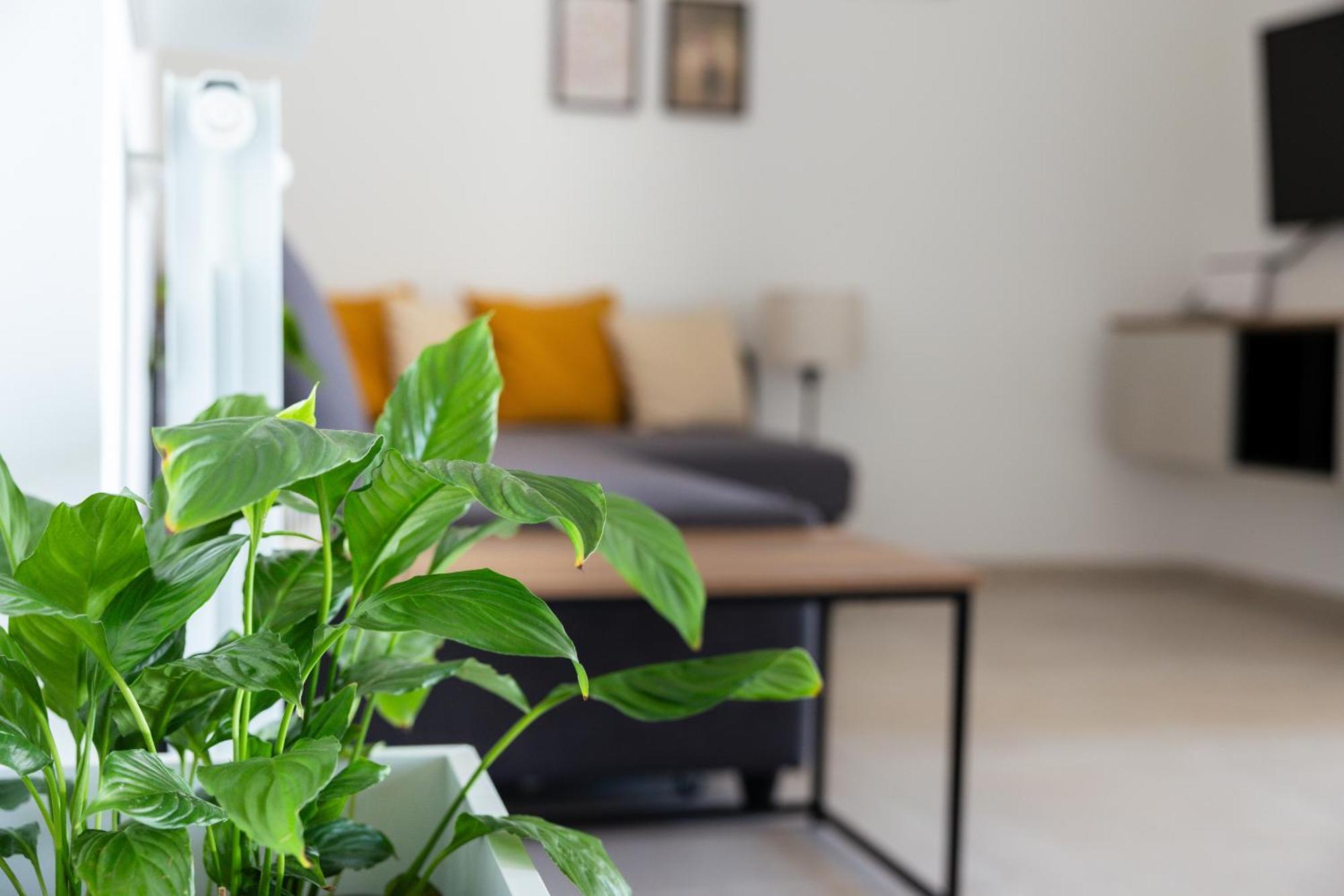 La Terrazza Appartamento
